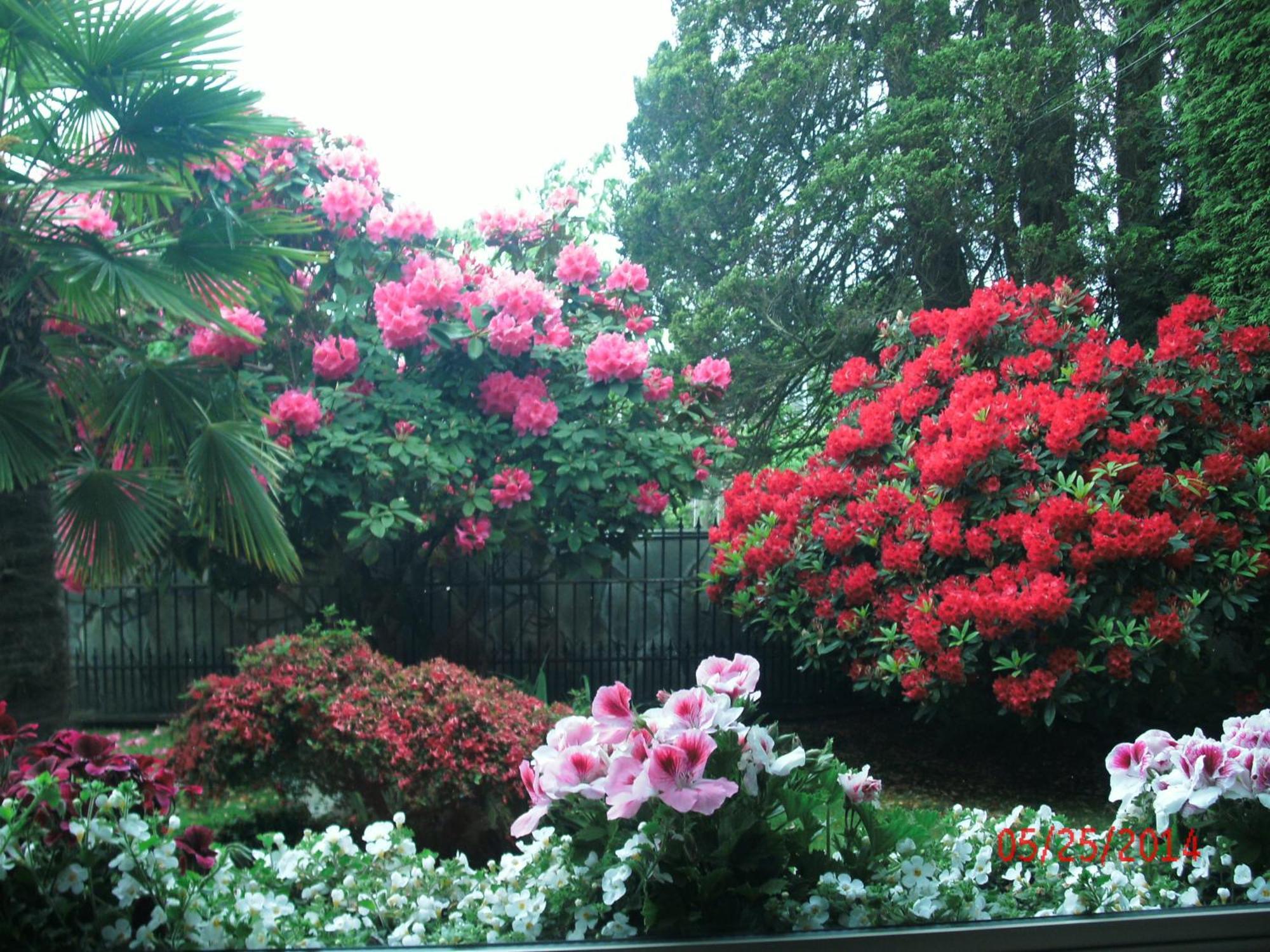 The Stone Hedge Bed And Breakfast Richmond Extérieur photo